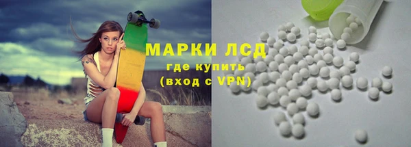 трава Аркадак
