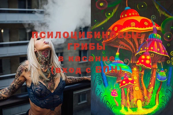 хмурый Армянск