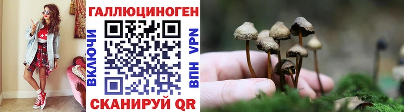 Галлюциногенные грибы прущие грибы Коломна